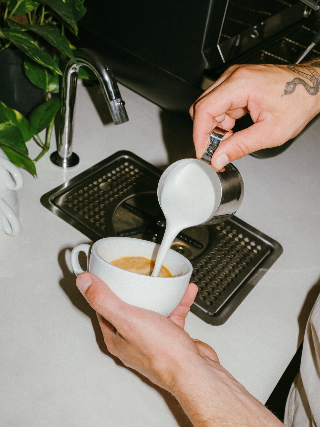 Café de spécialité